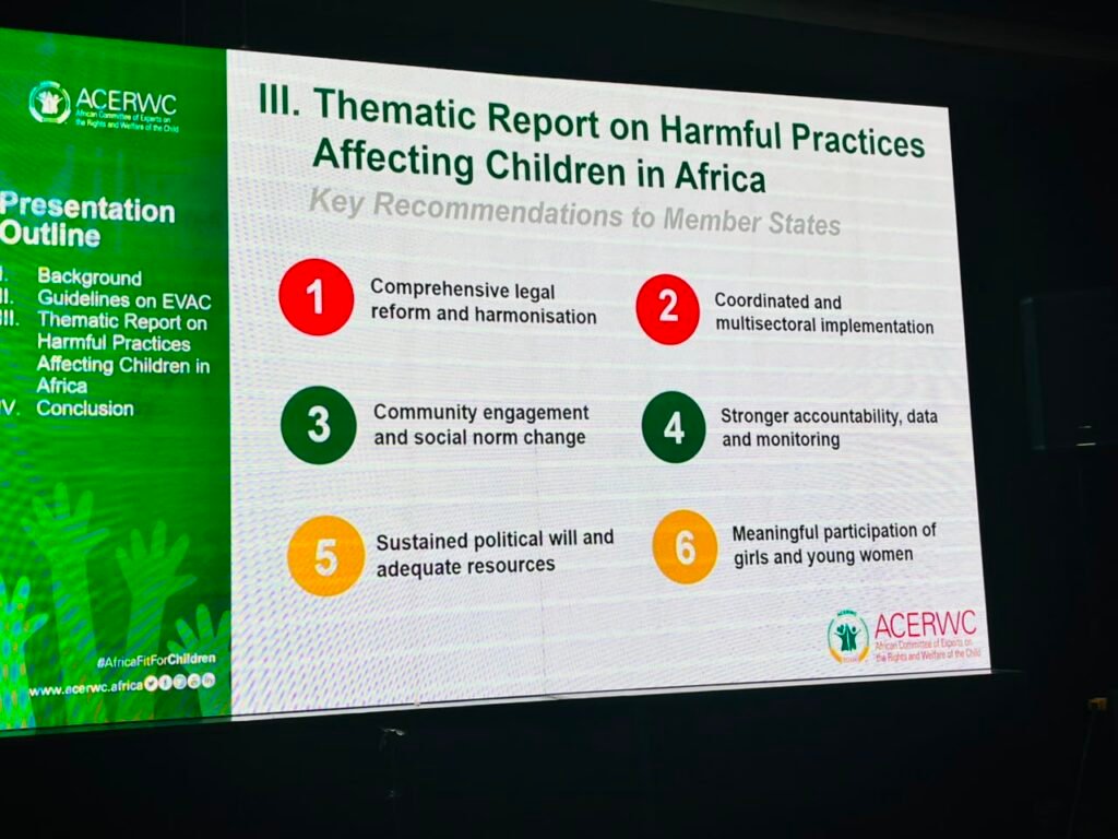 Hermine Kembo Takam Gatsing Represents the African Committee of Experts on the Rights and Welfare of the Child at the African Union's Specialised Technical Committee in Windhoek